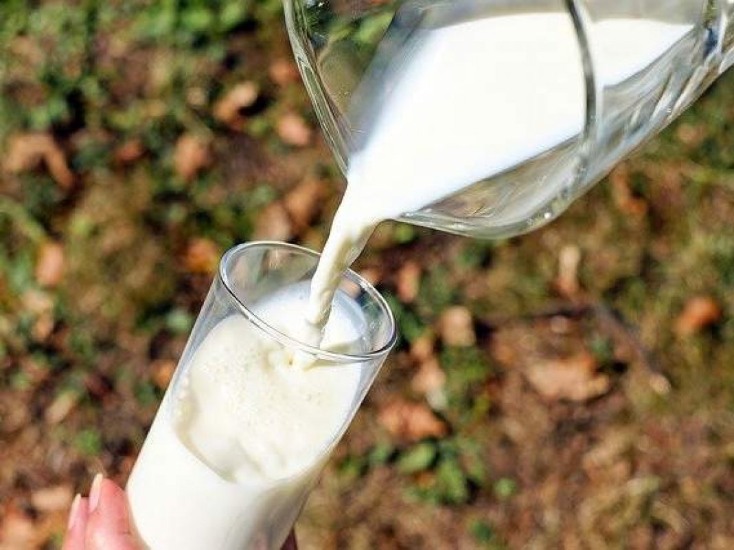 hnojenie mliekom