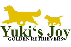 Yuki's Joy