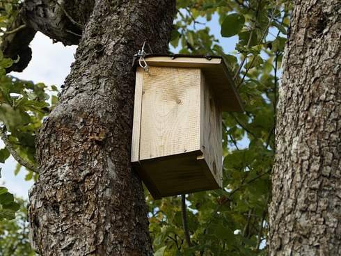 hniezdne vtáčie búdky