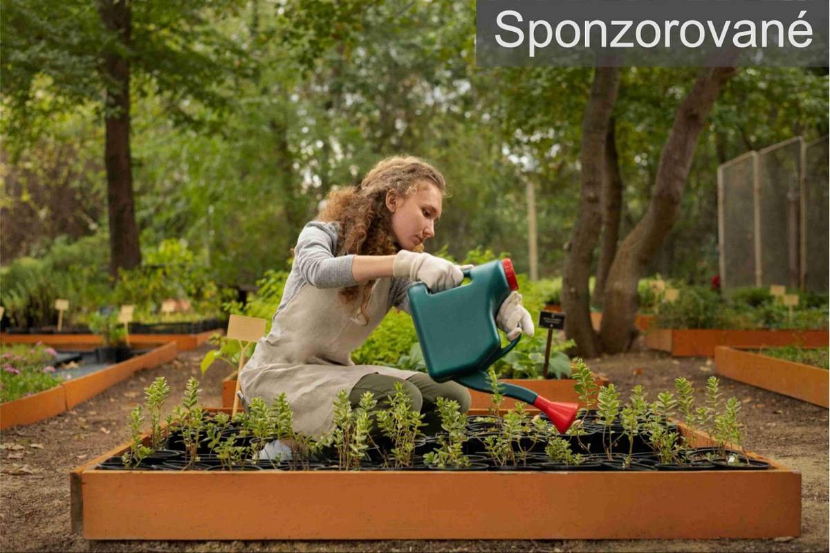 Najčastejšie chyby pri plánovaní záhrady, ktorým sa oplatí vyhnúť