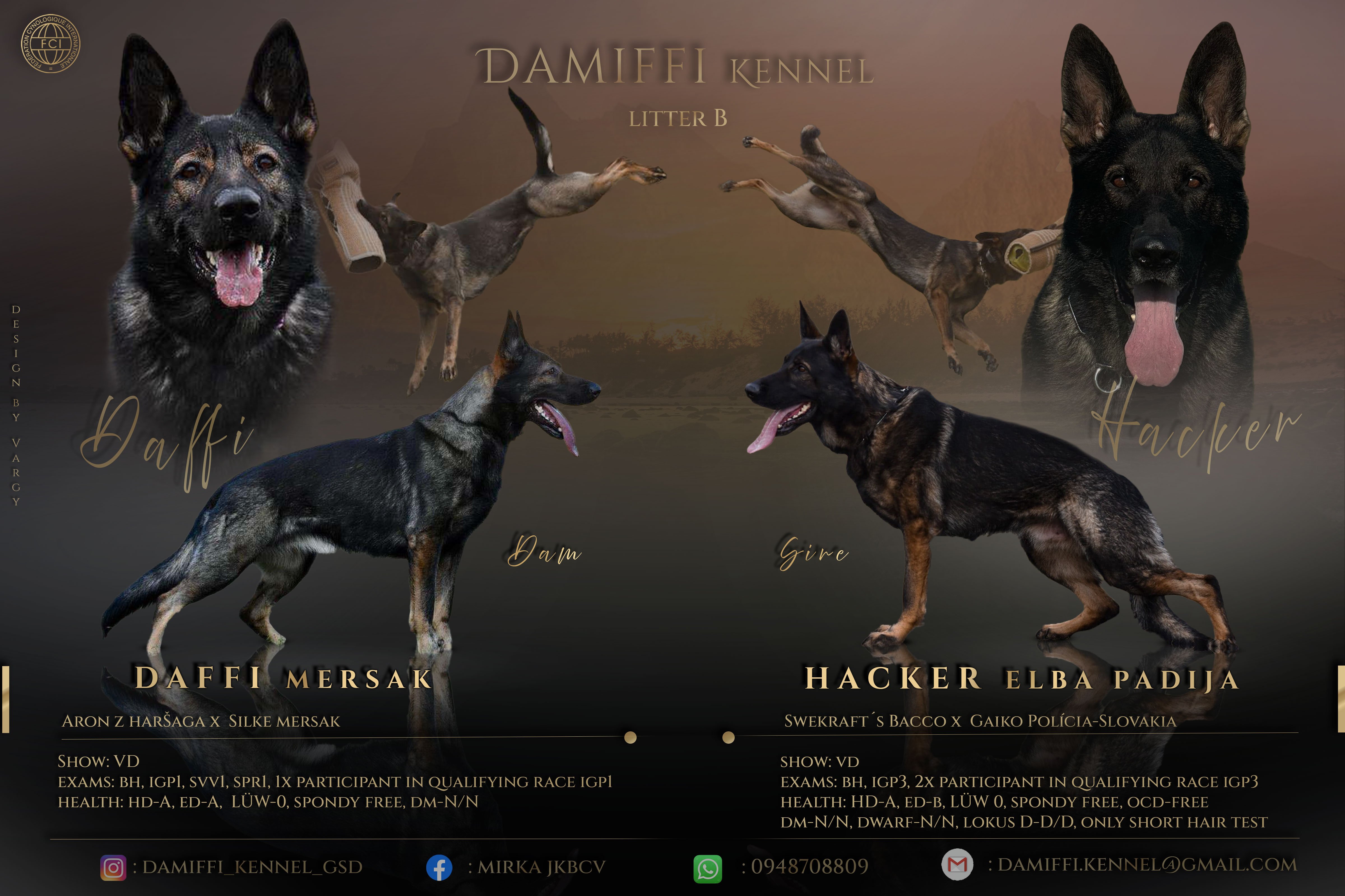 Damiffi - Chovateľská stanica nemeckých ovčiakov