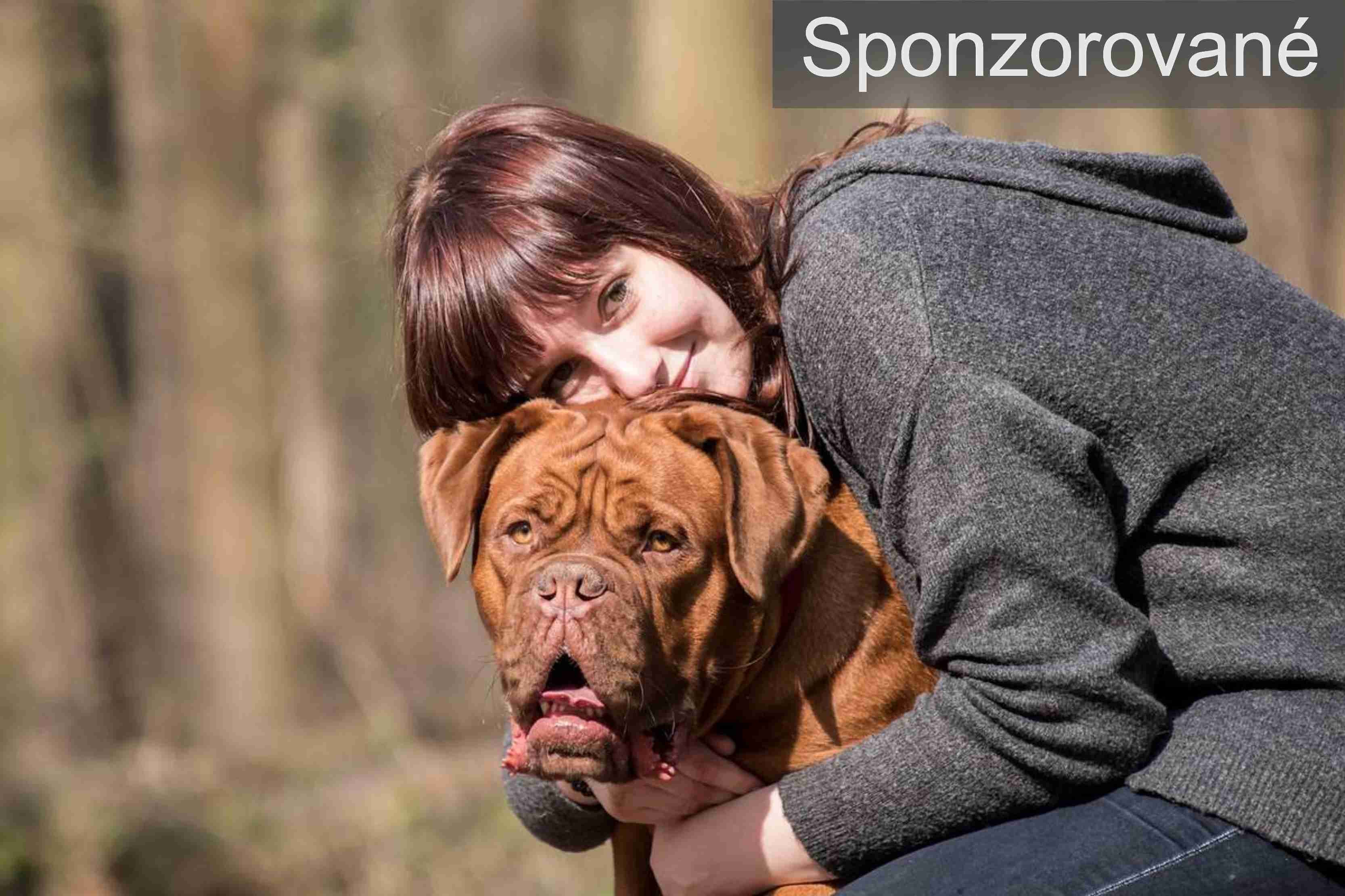 zložky krmiva pre psov