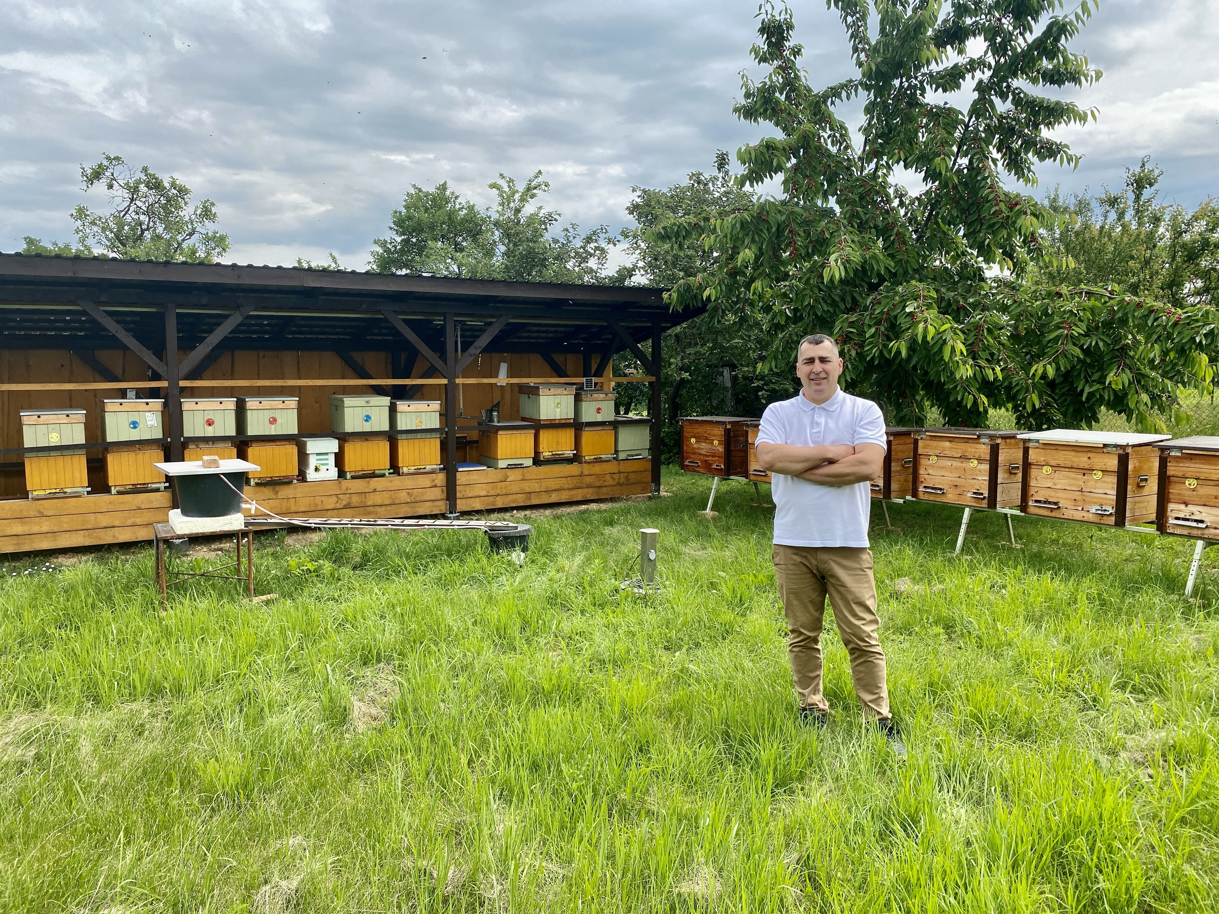 Chov včelích matiek