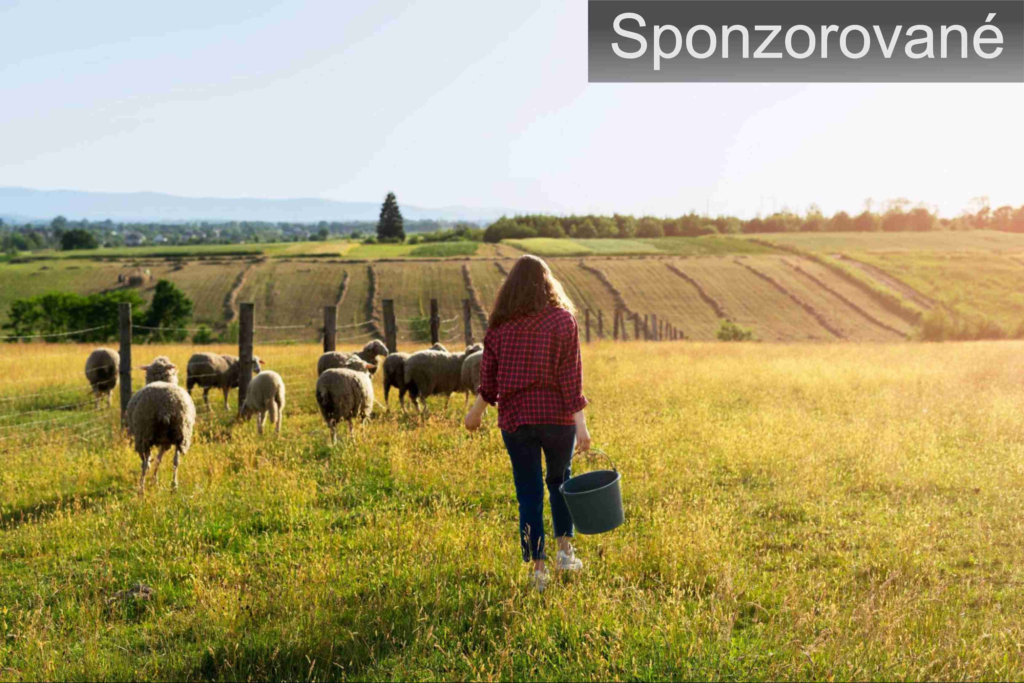 Rastúce ceny energií a hospodárstva. Aké riešenia majú k dispozícii?