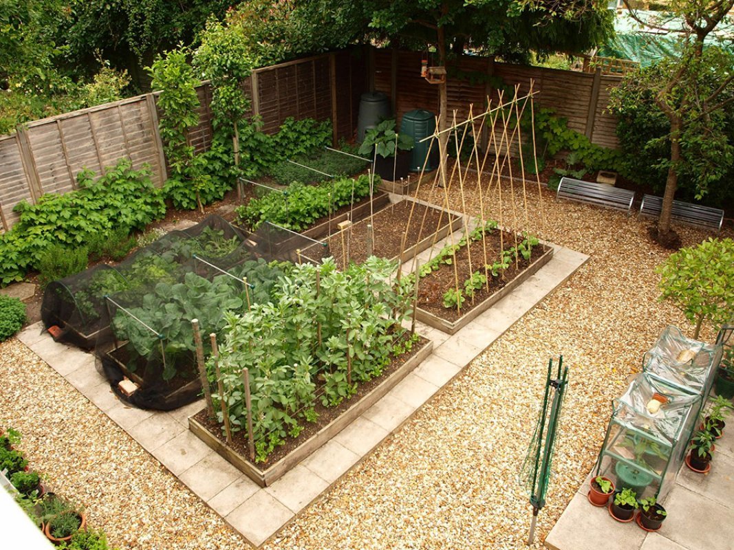 Vertikálna zeleninová záhrada