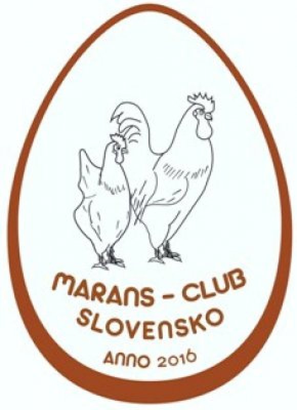 klub maransiek