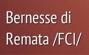 Bernesse di Remata /FCI/ - Chovateľská stanica ernský salašnícky pes