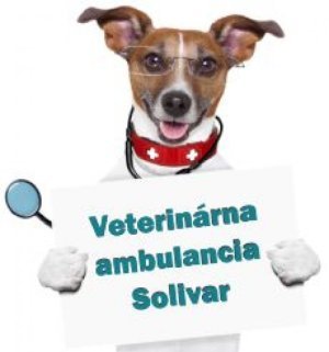 Veterinárna ambulancia Solivar - MVDr. Dušan Harbáč, MVDr. Monika Gaálova