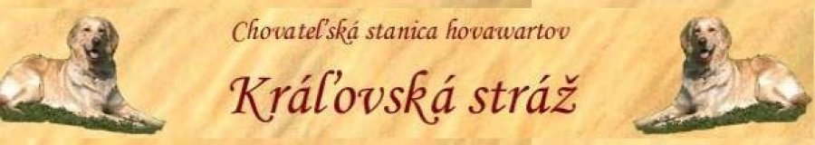 Kráľovská stráž - chovateľská stanica - hovawart