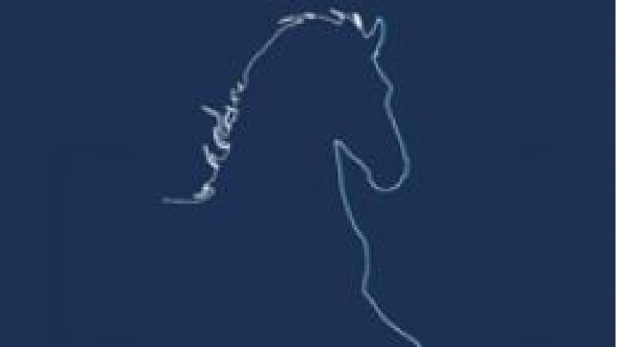 Asociácia chovateľov frízskych koní o.z.