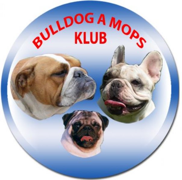 Bulldog a Mops klub SKJ - FCI