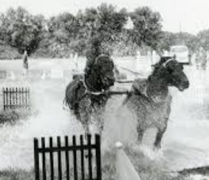 Jazdecký záprahový klub Kavalo Poprad-Veľká