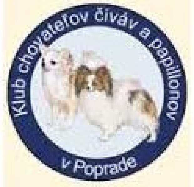 KLUB CHOVATEĽOV ČIVÁV A PAPILLONOV V POPRADE