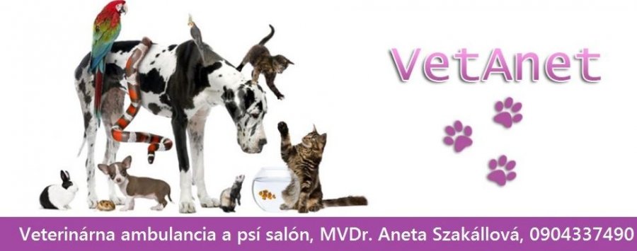 Veterinárna ambulancia Vetanet - MVDr. Aneta Szakállová