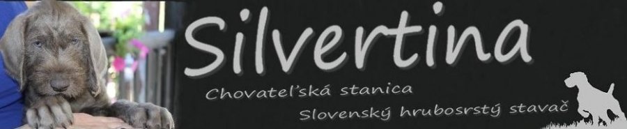 SILVERTINA - chovateľská stanica slovenský hrubosrstý stavač