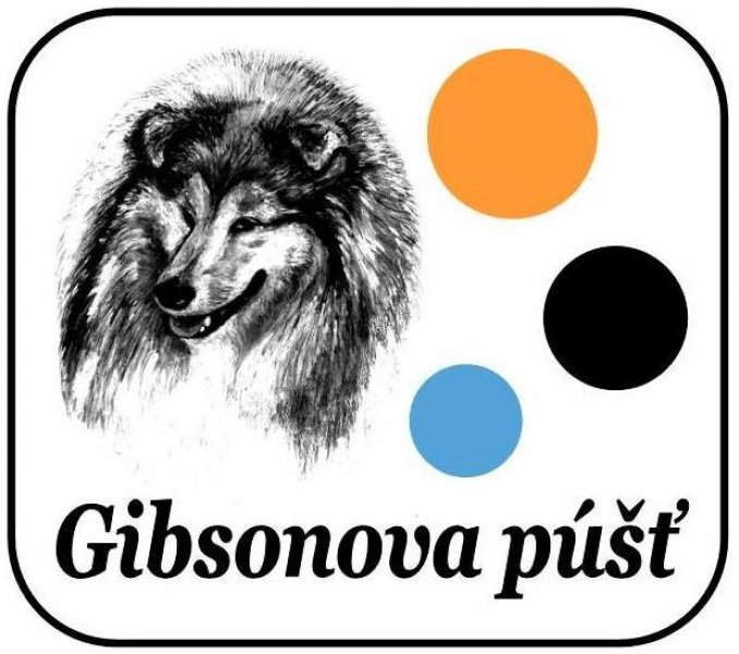 Gibsonova púšť