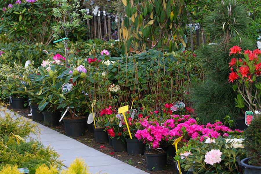 Záhrady Dobrá Niva - Záhradníctvo a záhradné služby
