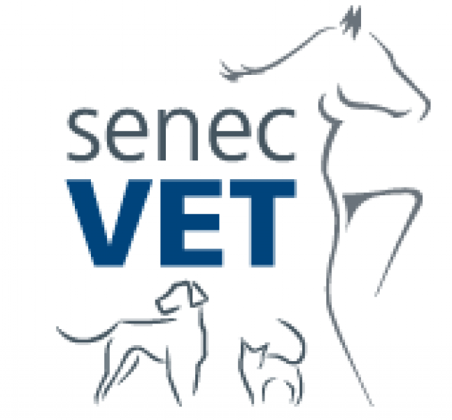 SenecVet - Veterinárna prax