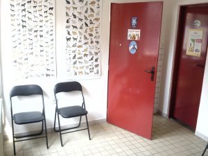Veterinárna ambulancia Anivet Nová Baňa