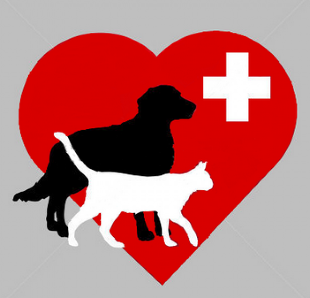 MVDr. Iveta Bieleková - veterinár