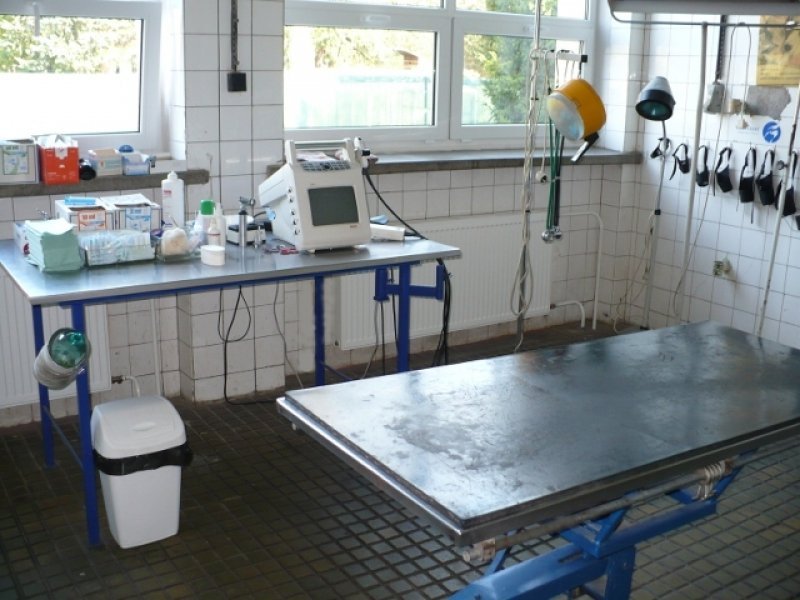 Veterinárna klinika - MVDr. Juraj CHORVÁTH, MVDr. Lenka BLAHUŠIAKOVÁ , MVDR. Janka RUMANOVÁ