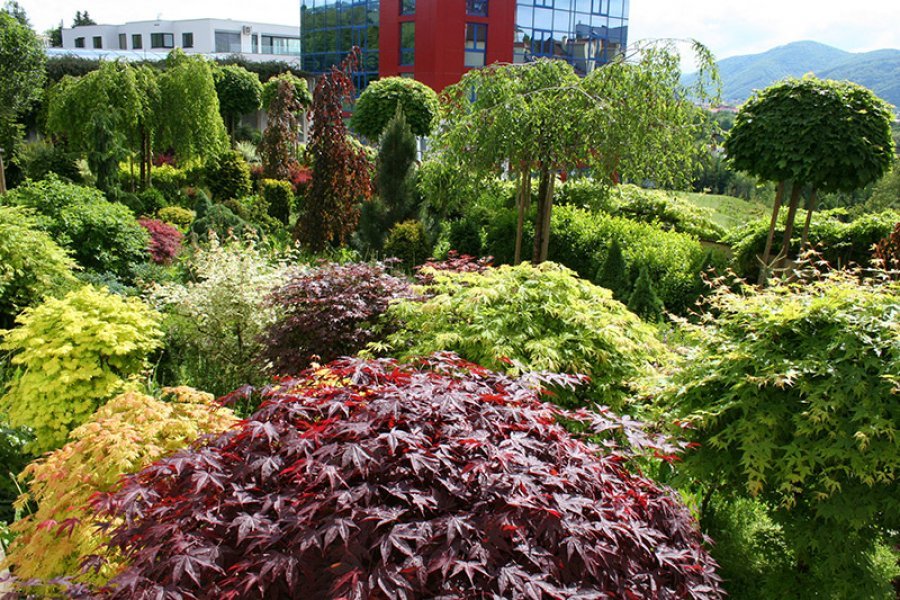 EKOPLANT s.r.o. - Záhradné centrum a záhradnícke služby