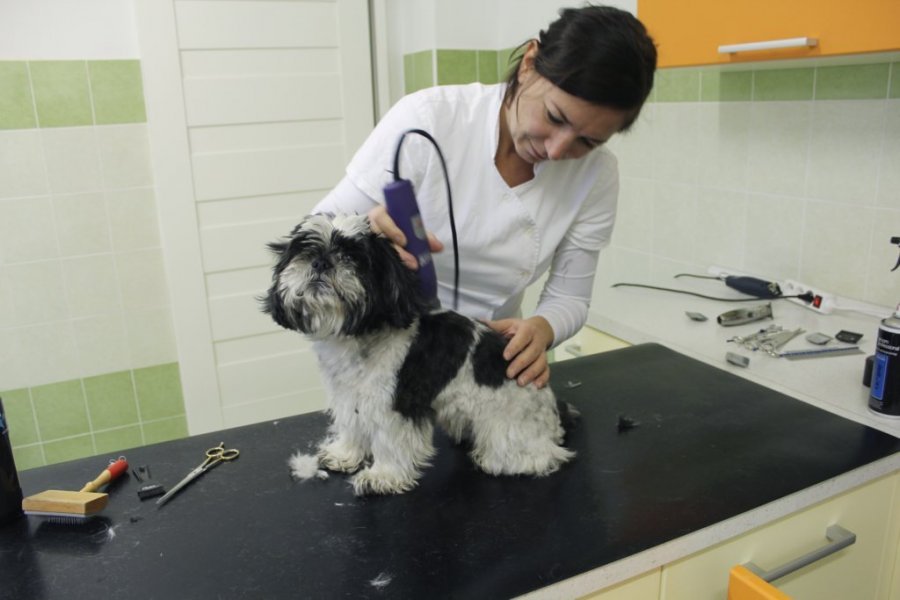 Pet Medical veterinárne centrum