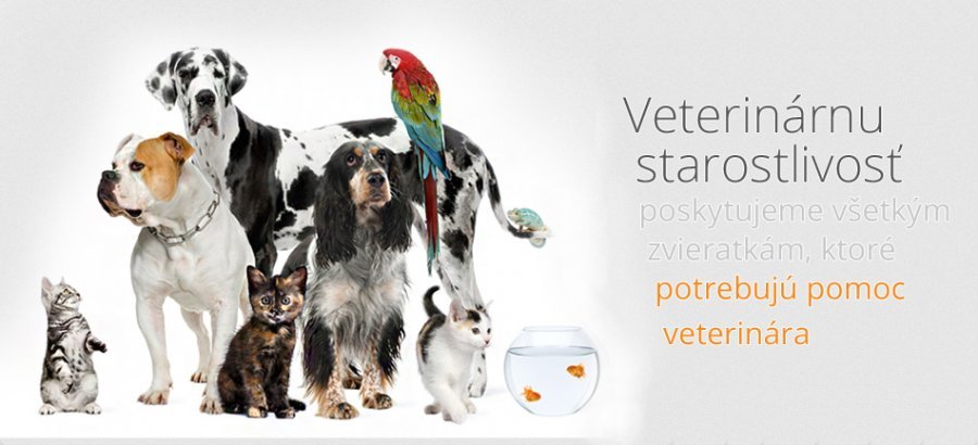 MVDr. Martina Turčanová - Veterinárna ambulancia