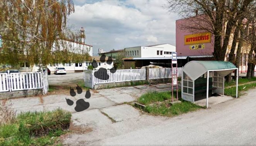 MVDr. Andrej Vajzer - Veterinárna ambulancia