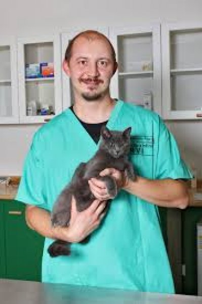 Veterinárna ambulancia Trenčín - MVDr. Ján Krecháč, MVDr. František Zezula