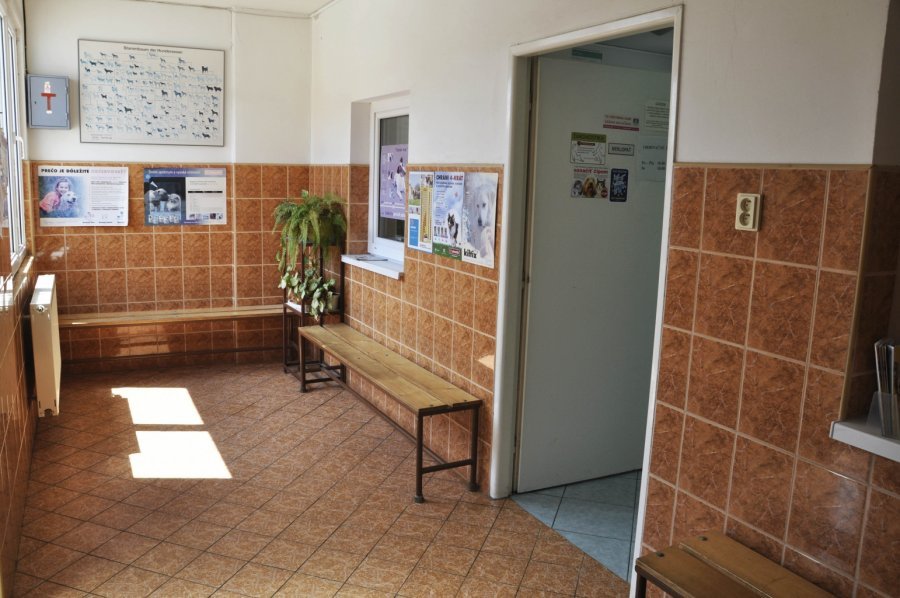 Veterinárna klinika Vrakuňa