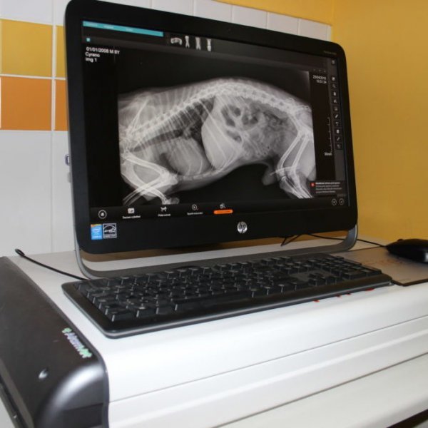 M-VET Veterinárna ambulancia