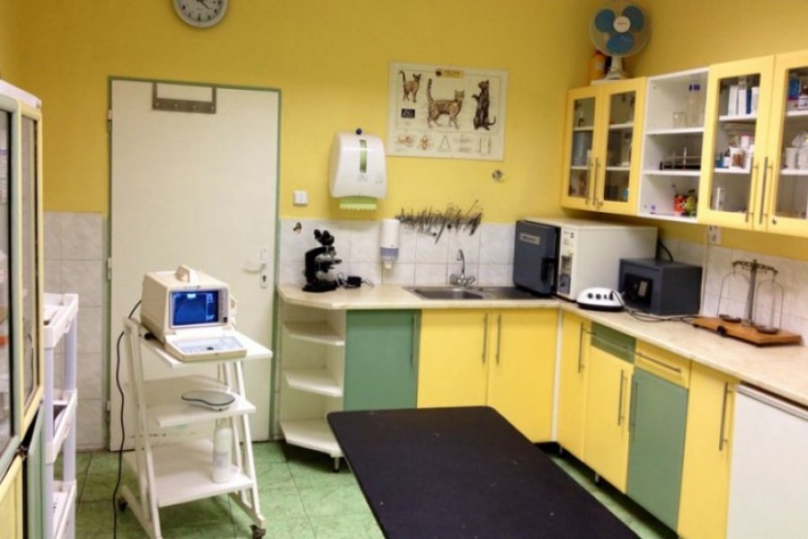Veterinári Bardejov