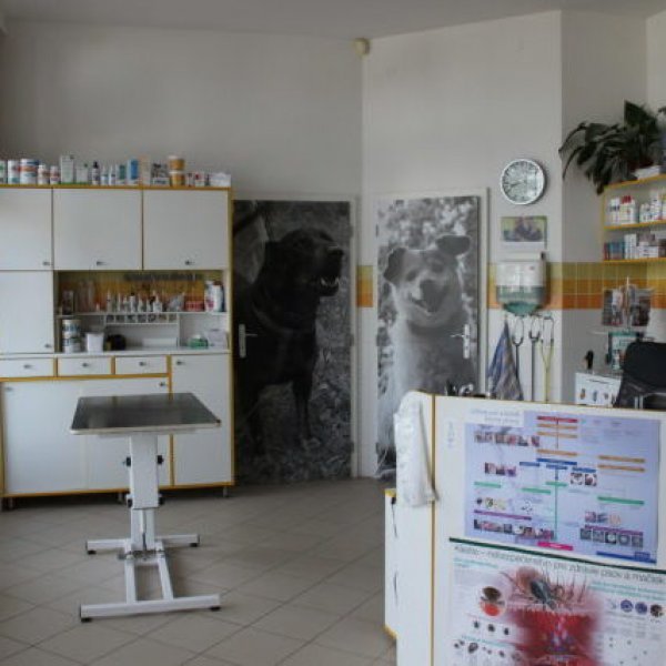 M-VET Veterinárna ambulancia