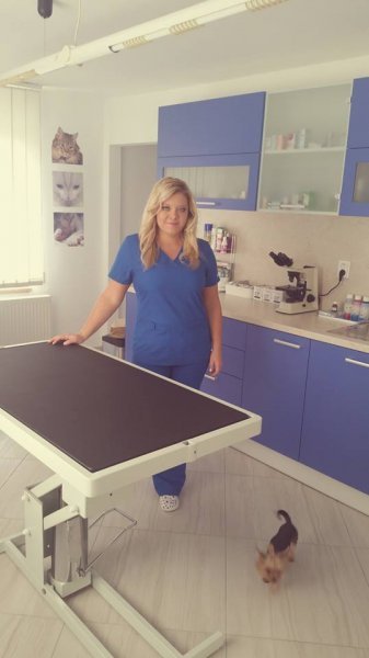 SigiVet - Veterinárna ambulancia