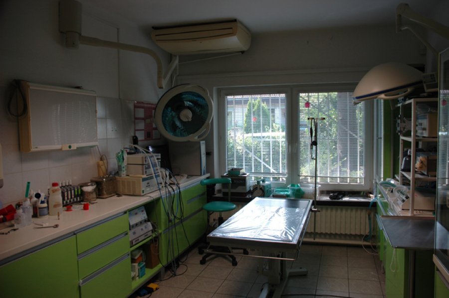 VETERINÁR ŠVIHRAN