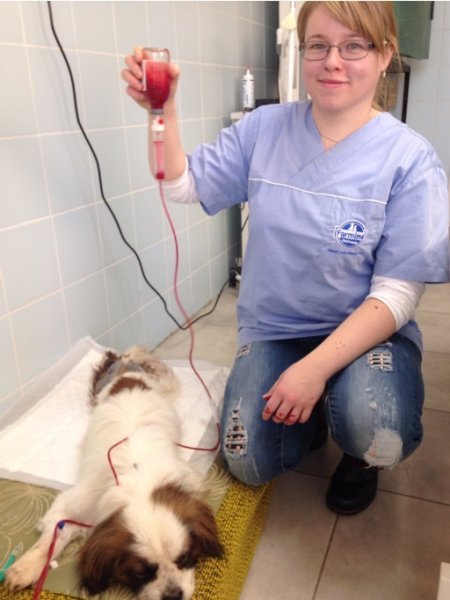 Veterinárna ambulancia Čaňa