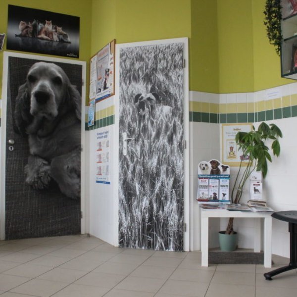 M-VET Veterinárna ambulancia