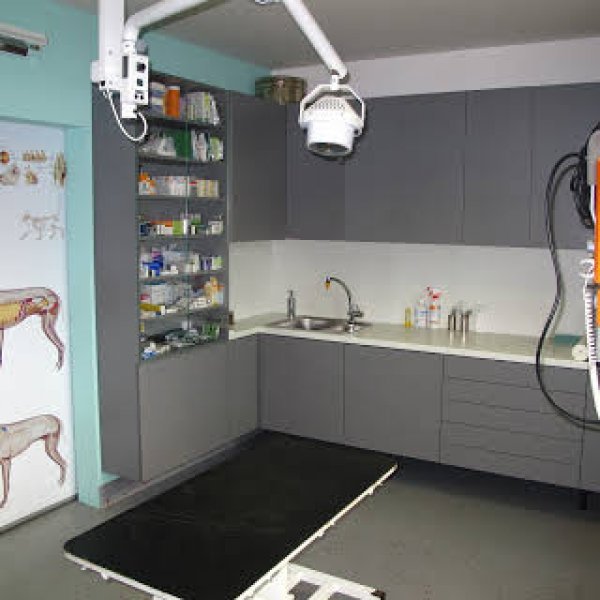 MVDr. Václav Spišák - Veterinárny lekár