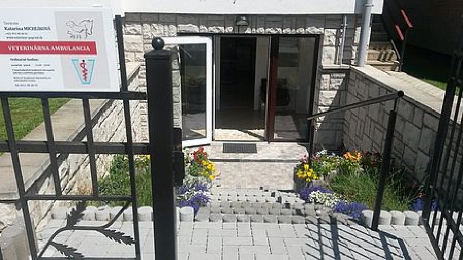 Verinárna ambulancia  - Tierarztin Katarína Michlíková