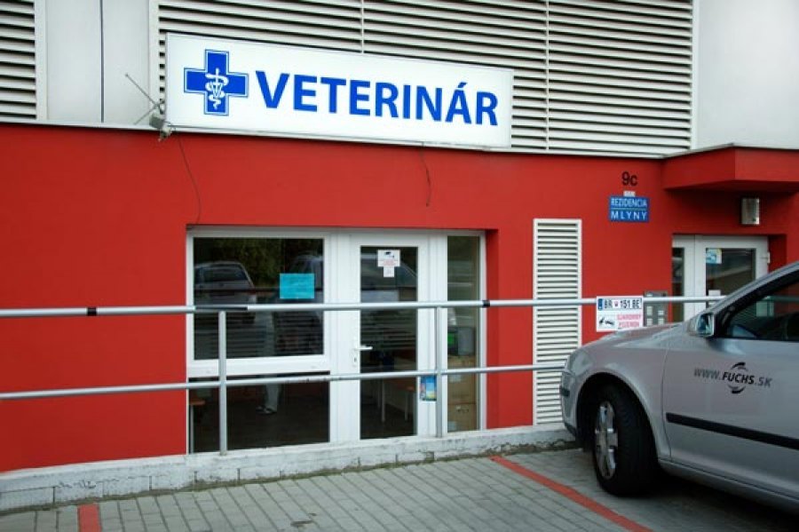 MlynVet - Veterinárna ambulancia