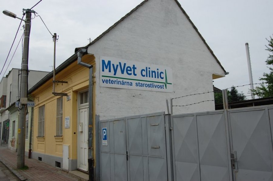 My Vet Clinic - Veterinárna starostlivosť