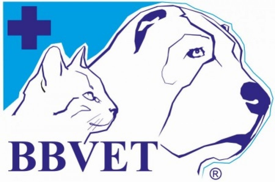 BBVET Veterinárna klinika