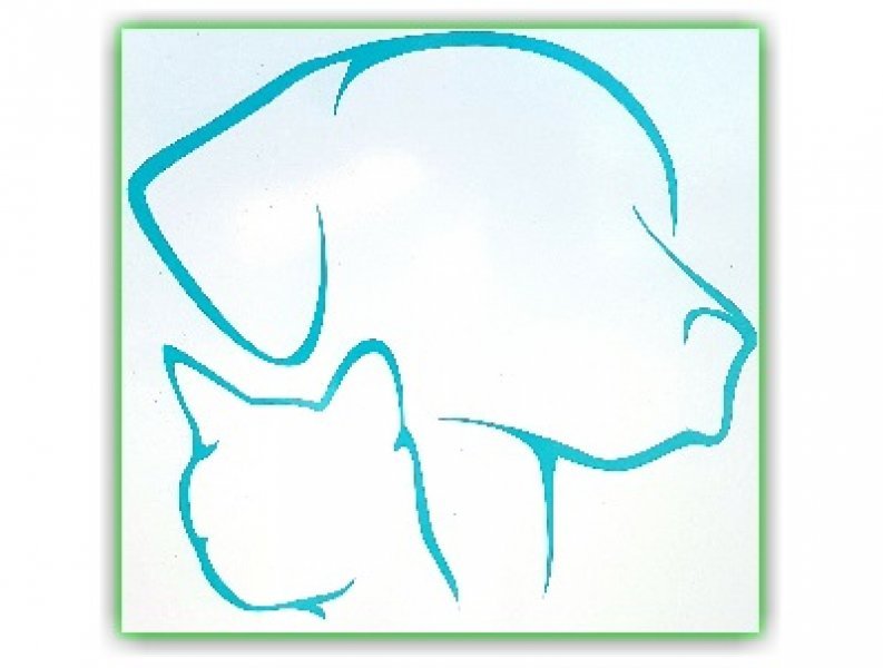 BIEL VET - MVDr. Edita Králová - Veterinárna ambulancia