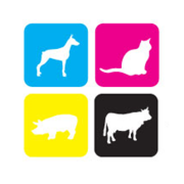 Manvet - Veterinárna ambulancia