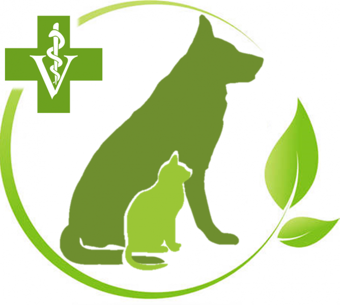 MVDr. Martina Jendrichovská - Veterinárna lekárka