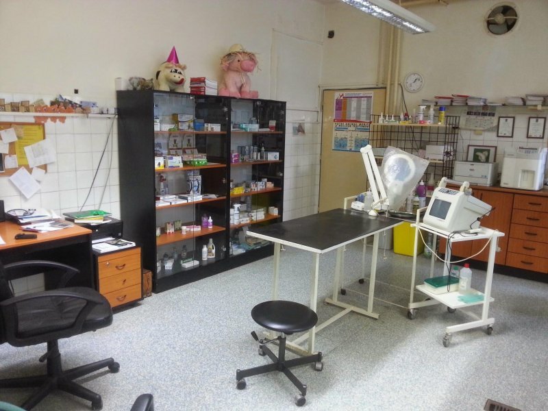 Veterinárna ambulancia - MVDr. Vladimír Koscelník