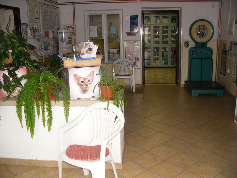 Veterinárna ošetrovňa - MVDr. Miroslav Kluknavský