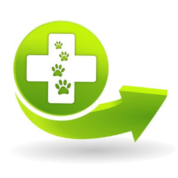 SOLIVET Veterinárna klinika