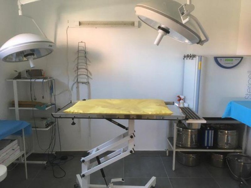 SOLIVET Veterinárna klinika